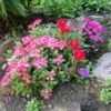 marianne_hughes